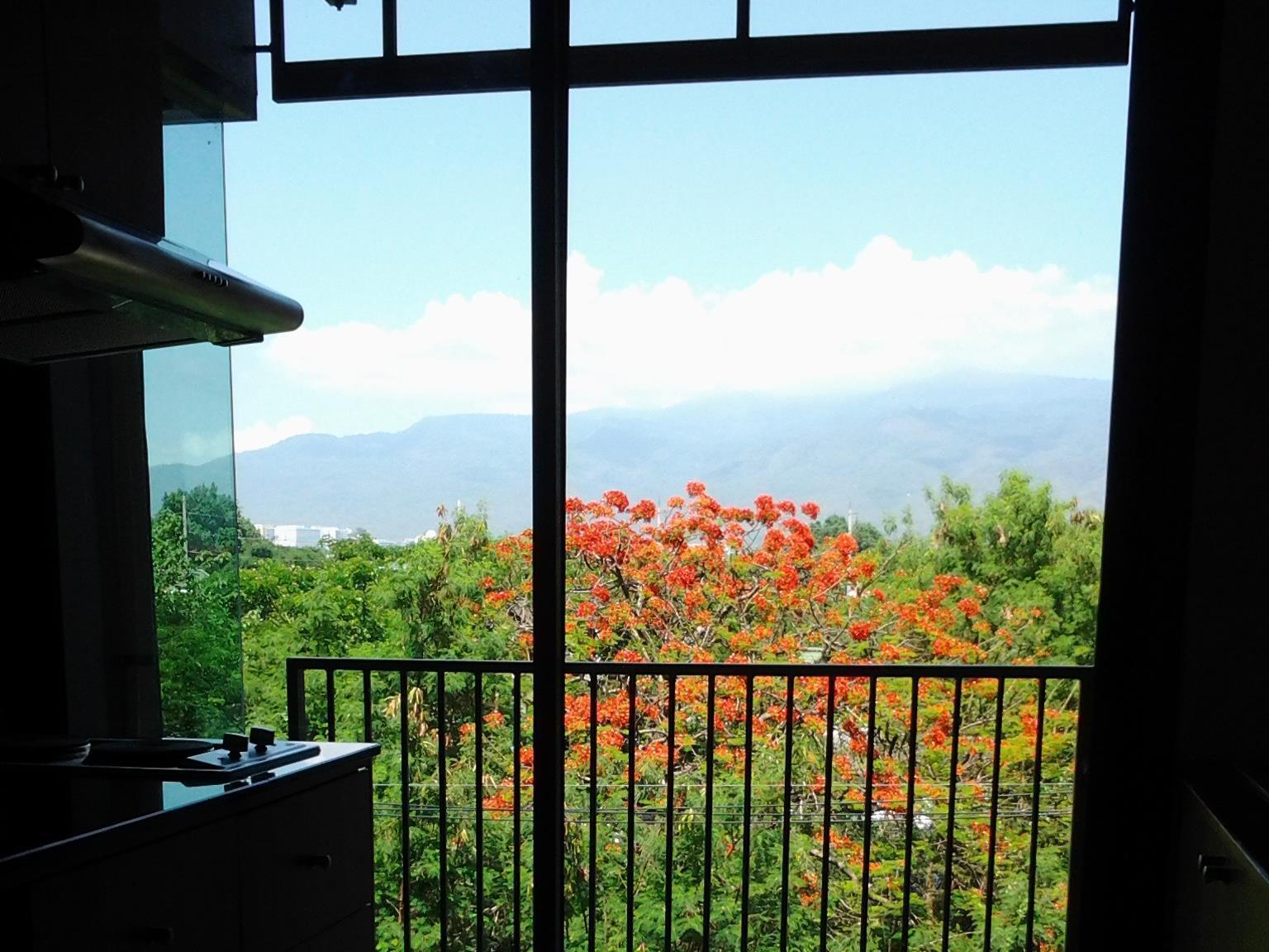 Tree Boutique Resort Chiang Mai Luaran gambar